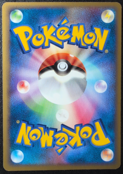 Raikou Pokemon Pokepark Promo Card 005/009 Vintage Very Rare Japan F/S 2005 🍁 - Image 2