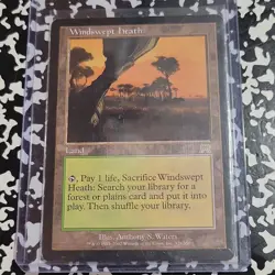 Magic: The Gathering Windswept Heath Land Card 2002 328/350 Anthony S. Waters - Image 1