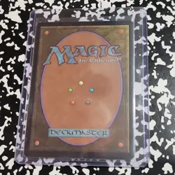 Magic: The Gathering Windswept Heath Land Card 2002 328/350 Anthony S. Waters - Image 2