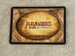 Pools of Becoming Planechase 2009 Common MAGIC GATHERING CARD Plane Bola's Medi - Image 2