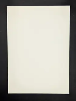 Pokemon English Blank Misprint NFC Cards Front Blank Back Miscut #2 - Image 2