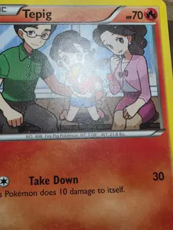 HP Pokemon TCG Tepig 25/113 BW Legendary Treasures Regular Common Card - Image 5