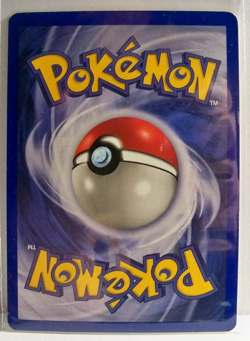 Marill - 29 - Pokemon Wizards Black Star Promo Card NM - NO whitening on back - Image 2