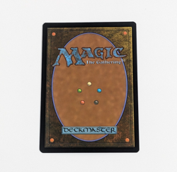 MAGIC MTG CCG Forgotten Realms DELINA WILD MAGE Showcase Rare LP/NM - Image 2