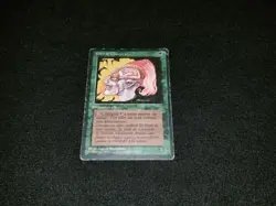 MTG 1x Revised green common HP French FBB Llanowar Elves - see description - Image 1