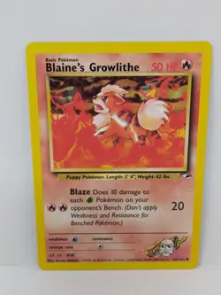 Trading Card fire dog- Card WOTC NM - Image 1