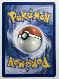 Hippopotas XY - Primal Clash 87/160 Yuka Morii MP-LP Pokemon Card - Image 2