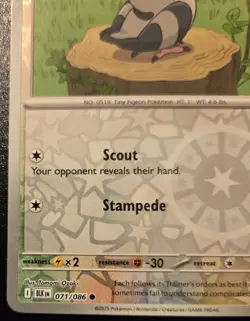 Pidove 071/086 Reverse Holo Common Scarlet & Violet: Black Bolt Pokemon TCG - Image 4