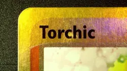 Torchic 008 Black Star Promo Pokemon Nintendo Promos 2003 Reverse Holo MP/HP - Image 4