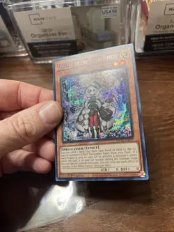 Yu-Gi-Oh! Astellar Of The White Forest #MP25-EN079 Secret Rare 1st Edition (NM) - Image 5