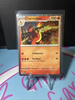 Pokemon Charizard Ex Super Premium Collection Display Figure W/Promo Cards Only - Image 4