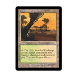 WotC MtG Onslaught Windswept Heath (R) NM - Image 1