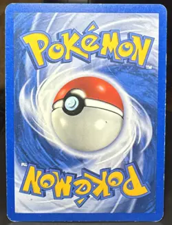 Pokemon Pokemon TCG Torchic 73/109 Ruby and Sapphire English E-Reader Card - Image 2