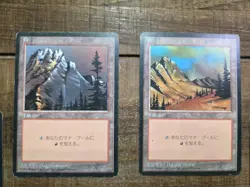 6x MTG Mountain FBB Black border Japanese German french U Mix LP - Image 3