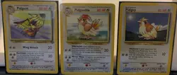 Pokemon TCG Pidgeot Rare Jungle 24/64, Pidgeotto Rare 22/102 Base Set - Image 1