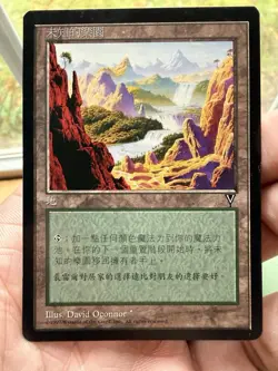 Undiscovered Paradise - MTG - 1x LP+ Traditional Chinese Visions VIS - Image 1