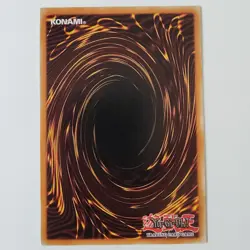 Vorse Raider - DPKB-EN008 - NM/VLP - Rare - Unlimited - Yugioh - Image 2