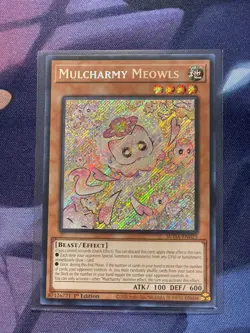Mulcharmy Meowls LP SUDA-EN025 Secret Rare YuGiOh Near Mint Condition - Image 2