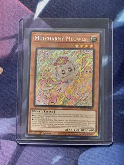 Mulcharmy Meowls LP SUDA-EN025 Secret Rare YuGiOh Near Mint Condition - Image 4
