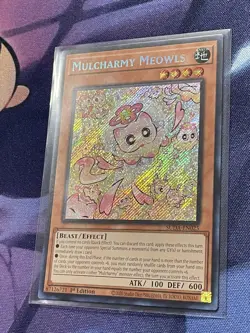 Mulcharmy Meowls LP SUDA-EN025 Secret Rare YuGiOh Near Mint Condition - Image 5