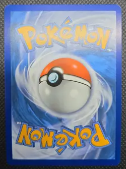2019-2023 Pokemon Sword & Shield Black Star Promos Lucario VST #SWSH291 - Image 2