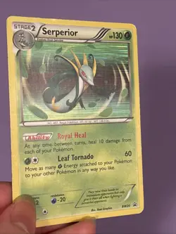 Serperior BW20 Pokemon Black & White Holo Promo MP - Image 2