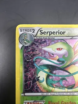 Serperior RC3/RC25 Legendary Treasures: Radiant Collection Holo - Pokemon Card - Image 2