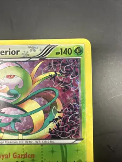 Serperior RC3/RC25 Legendary Treasures: Radiant Collection Holo - Pokemon Card - Image 3