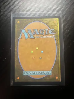 Rhythm of the Wild (Borderless) #0012 Non-Foil Teenage Mutant Ninja Turtles NM - Image 2