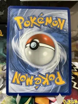 Mudkip Jumbo Card 59/109 Pokemon First Partner 25th Anniversary - Image 2