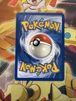 Skitty 70/109 - NON-HOLO - EX Ruby and Sapphire - e-READER Pokemon Card - NM - Image 2