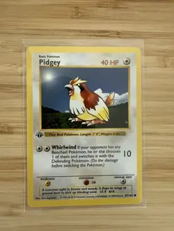 Pidgey 1st Edition 57/102 Base Set Shadowless WOTC Pokemon Card - Image 1