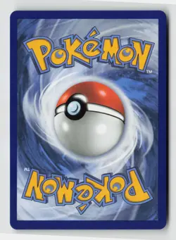 Pokemon - Marshadow - 146/132 ME01: Mega Evolution - Illustration Rare - NM - Image 2