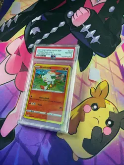 PSA 9 Scorbunny SWSH244 Holo Black Star Promo Sword Shield Pokemon TCG Pokemon - Image 2