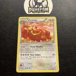 Ursaring RC16/RC25 Legendary Treasures Pokemon TCG Card LP - Image 1