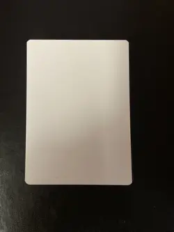 Screeching Skaab MTG Clint Cearley AP Signed Artist Proof - Image 2