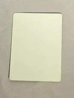 MTG Mesa Falcon Homelands Artist Proof and Signature Signed Poole - Image 2