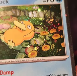 Pokemon Psyduck 007 & Golduck 008 XY Black Star Promo Holo NM Mega Evolution - Image 4