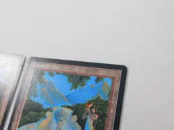 Rainbow Vale x2 Fallen Empires Land Magic the Gathering TCG Trading Card Mtg - Image 4