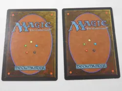 Rainbow Vale x2 Fallen Empires Land Magic the Gathering TCG Trading Card Mtg - Image 5
