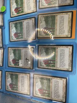 Serra Aviary Lot Of X16 Homelands Lp Lot 1P Mtg - Image 2