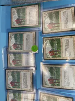 Serra Aviary Lot Of X16 Homelands Lp Lot 1P Mtg - Image 4