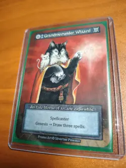 Grandmeowster Wizard Sorcery TCG Spellcaster Promo Card by Severine Pineaux - Image 1