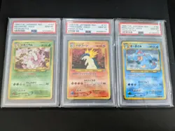 Pokemon PSA 10 Graded Meganium, Typhlosion, Feraligatr Premium File Set - Image 1