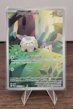 Togedemaru - 104/094 - IR - Phantasmal Flames PFL Mega Evolution - Pokemon NM/M - Image 1