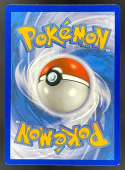 2022 Pokemon Sword & Shield Black Star Promos #SWSH262 Charizard VST - Image 2