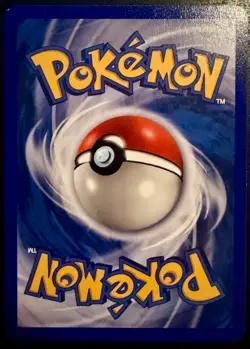 Kyogre ex 001 Promo Nintendo Black Star Promos Pokemon Near Mint NM - Image 2