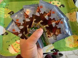 6 x Play Booster Pack ~ Bloomburrow ~ Magic the Gathering ~ MTG Sealed - Image 1