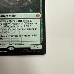 Badgermole Cub Avatar: The Last Airbender Regular - Image 4