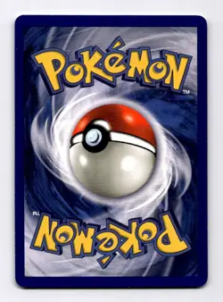 Pidgeotto Base Set (Shadowless) #022 (1998) Rare NM Pokemon - Image 2